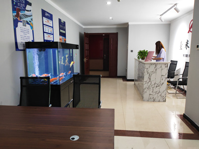 內(nèi)蒙古中躍信息技術(shù)咨詢服務(wù) 數(shù)據(jù)處理服務(wù)的專業(yè)力量